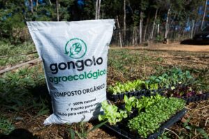 Gongolo 2024 @juniagarridofotografia-7471