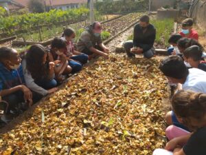 WhatsApp Image 2024-10-18 at 15.23.41 (1)