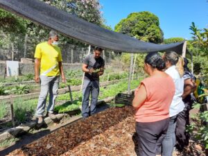 WhatsApp Image 2024-10-18 at 15.23.41 (2)