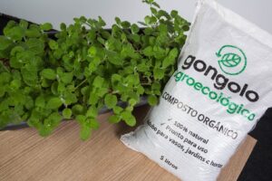 WhatsApp Image 2024-10-18 at 15.23.46