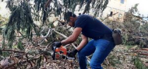 WhatsApp Image 2024-10-18 at 15.23.50 (1)