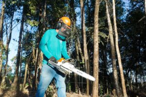 WhatsApp Image 2024-10-18 at 15.23.51 (1)