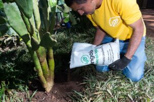 WhatsApp Image 2024-10-18 at 15.23.51