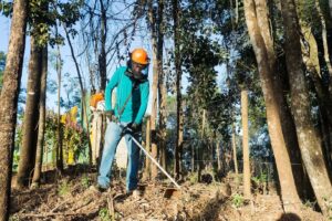 WhatsApp Image 2024-10-18 at 15.23.51