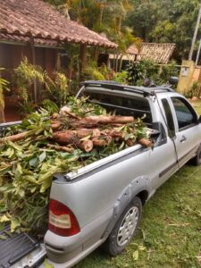 WhatsApp Image 2024-10-18 at 15.23.52 (1)