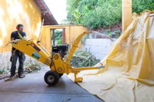 WhatsApp Image 2024-10-18 at 15.23.52 (2)