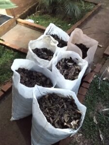 WhatsApp Image 2024-10-18 at 15.23.52