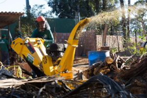 WhatsApp Image 2024-10-18 at 15.23.53 (1)