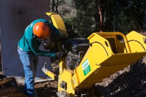 WhatsApp Image 2024-10-18 at 15.23.53