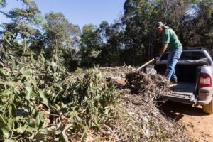 WhatsApp Image 2024-10-18 at 15.23.54 (1)