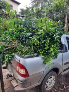 WhatsApp Image 2024-10-18 at 15.23.54 (2)