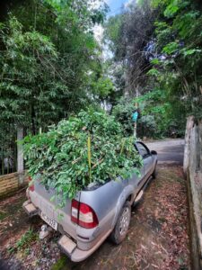 WhatsApp Image 2024-10-18 at 15.23.54 (3)