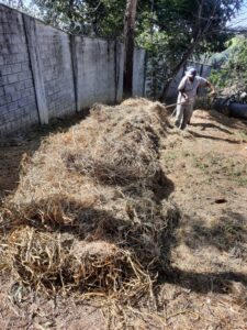 WhatsApp Image 2024-10-18 at 15.23.55 (1)