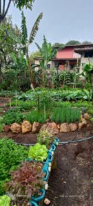 WhatsApp Image 2024-10-18 at 15.23.56 (1)