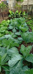 WhatsApp Image 2024-10-18 at 15.23.56