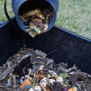 compostagem-residuo-verde