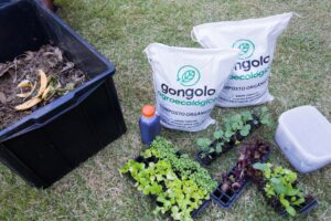 composto-organico-producao