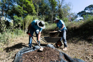 composto-organico-producao-2