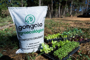 oficina-e- consultoria-em-horta