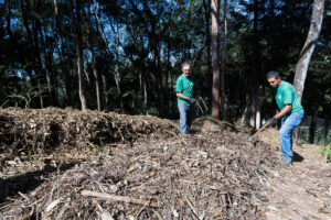 verde recolha-de-residuo-verde-3